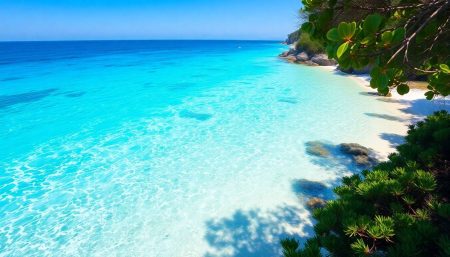 Découvrez le joyau caché de la Méditerranée : une plage digne des Caraïbes
