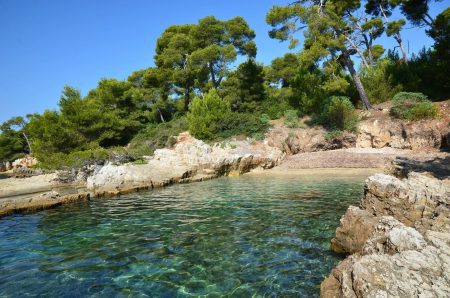 À la découverte des Îles de Lérins : deux perles méditerranéennes riches en histoire et en biodiversité