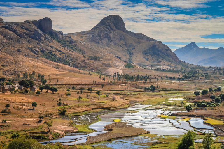 Plongée au cœur de Madagascar : Explorez des forêts luxuriantes et des récifs coralliens exceptionnels
