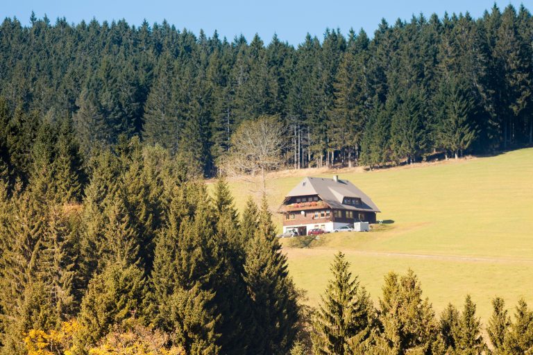 Ces paysages d'Allemagne vont changer votre vision de la nature à jamais !
