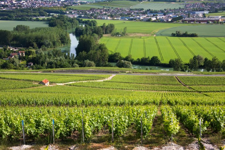 Vignes, forêts et villages oubliés : cette partie méconnue de la Marne va vous envoûter
