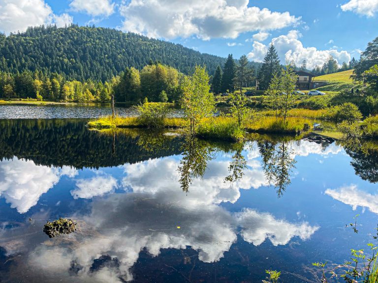 Les Vosges : l'option vacances nature et authentique pour s'évader cet été