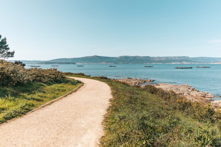 Bassin d’Arcachon : 7 raisons qui font de cet écrin naturel un lieu unique à couper le souffle