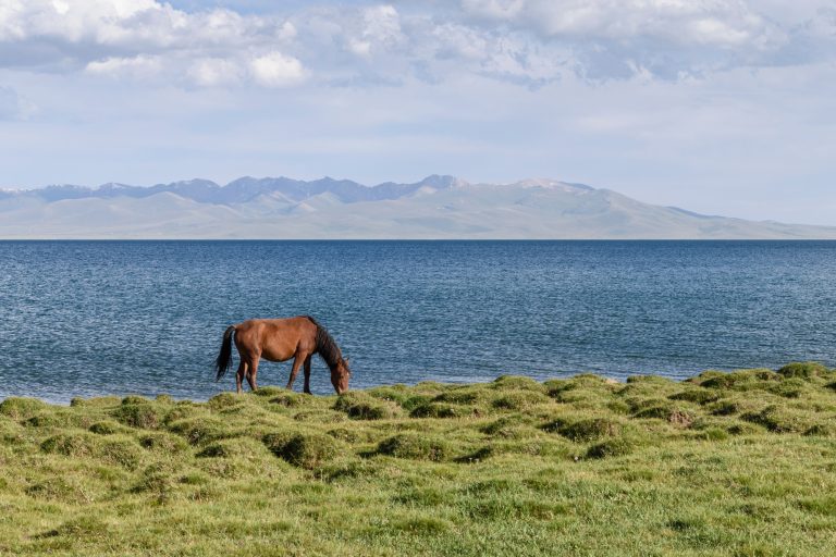 Perdu dans les montagnes, ce lac turquoise fascine les rares touristes qui osent s’y aventurer