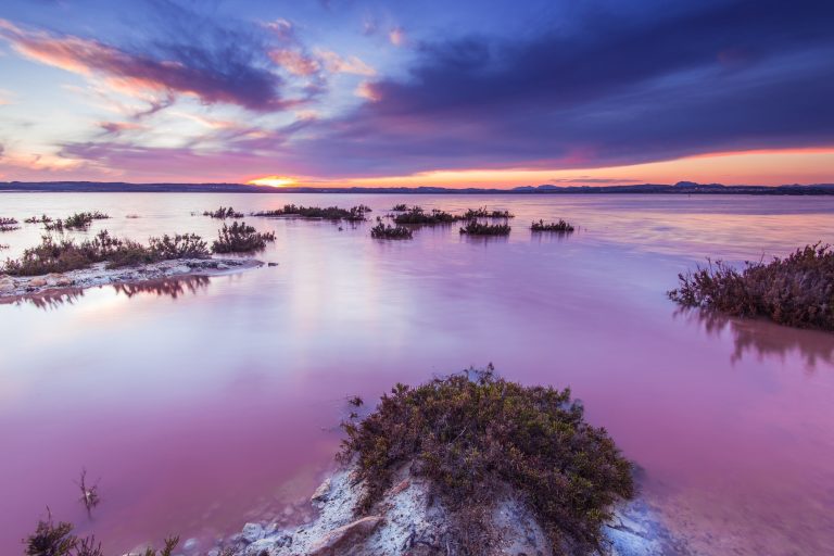 Il attire les curieux du monde entier : découvrez enfin le mystère du lac rose espagnol