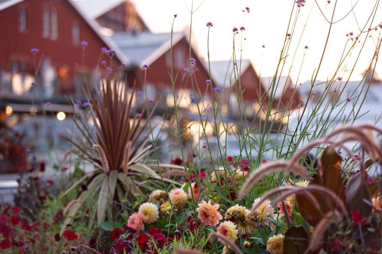 Cette île méconnue de Suède est un trésor nordique que vous n’oublierez jamais
