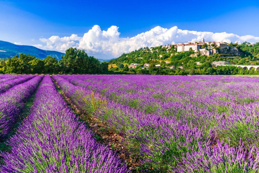Aux portes du Ventoux, ce village paisible vous plonge dans une Provence préservée