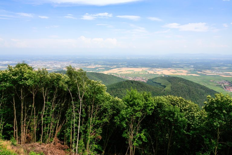 Ce secret naturel entre Vosges et patrimoine va complètement changer votre idée des paysages alsaciens !