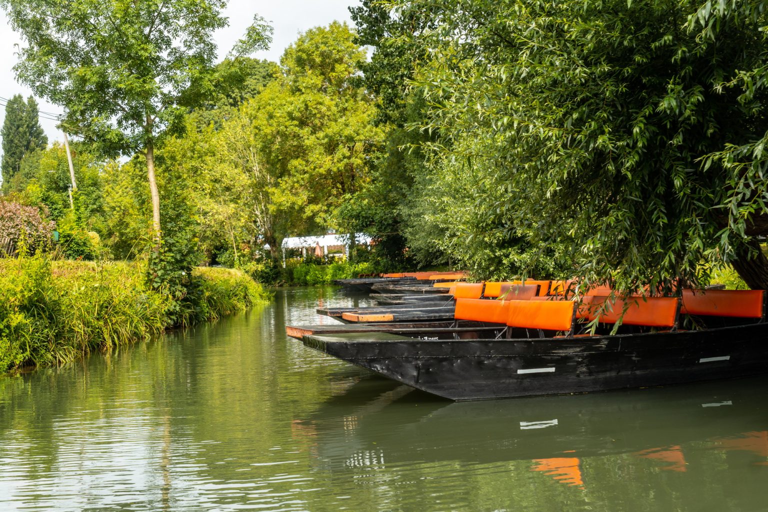 Le Marais poitevin révèle un joyau naturel que vous devez absolument visiter cette année