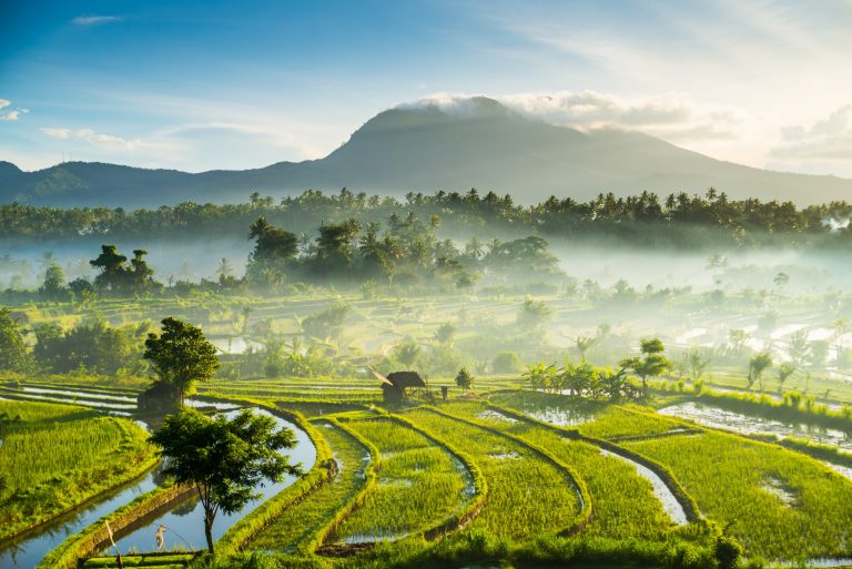 Ce que vous ressentez à Bali n’arrive nulle part ailleurs : voici pourquoi l’île captive autant