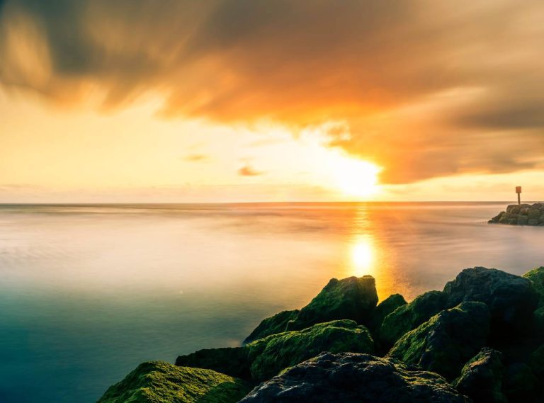 Océan Atlantique, forêt des Landes : voici pourquoi Mimizan-Plage est l’évasion sauvage idéale