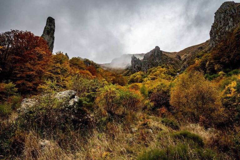 Ce joyau naturel français rivalise avec les jungles exotiques : voici pourquoi vous devez le voir