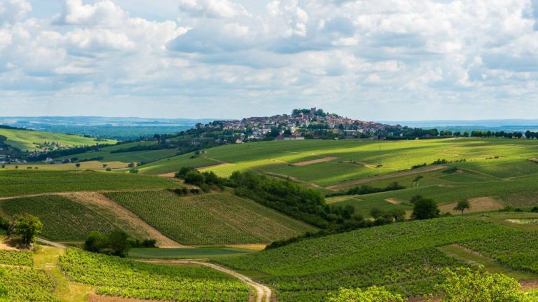 Entre vignobles rares et trésors médiévaux, découvrez pourquoi Sancerre fascine tous les visiteurs Entre vignobles rares et trésors médiévaux, découvrez pourquoi Sancerre fascine tous les visiteurs