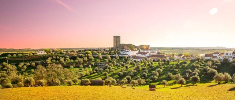 Alentejo : l'âme authentique du Portugal entre vignobles dorés et villages blancs