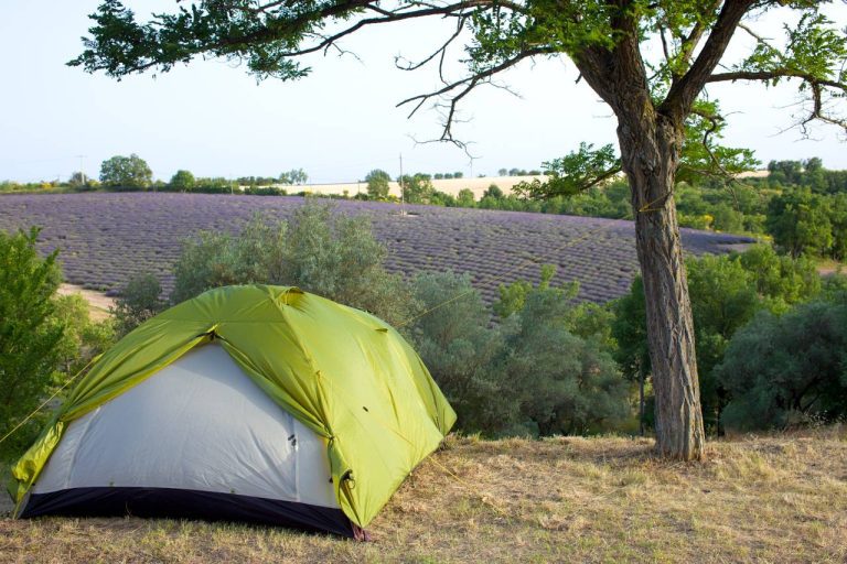 Ne réservez surtout pas votre camping en Provence avant d’avoir lu ces astuces qui peuvent tout changer cet été
