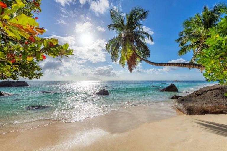 Les 5 meilleures destinations de vacances dans les Caraïbes en juillet Aruba