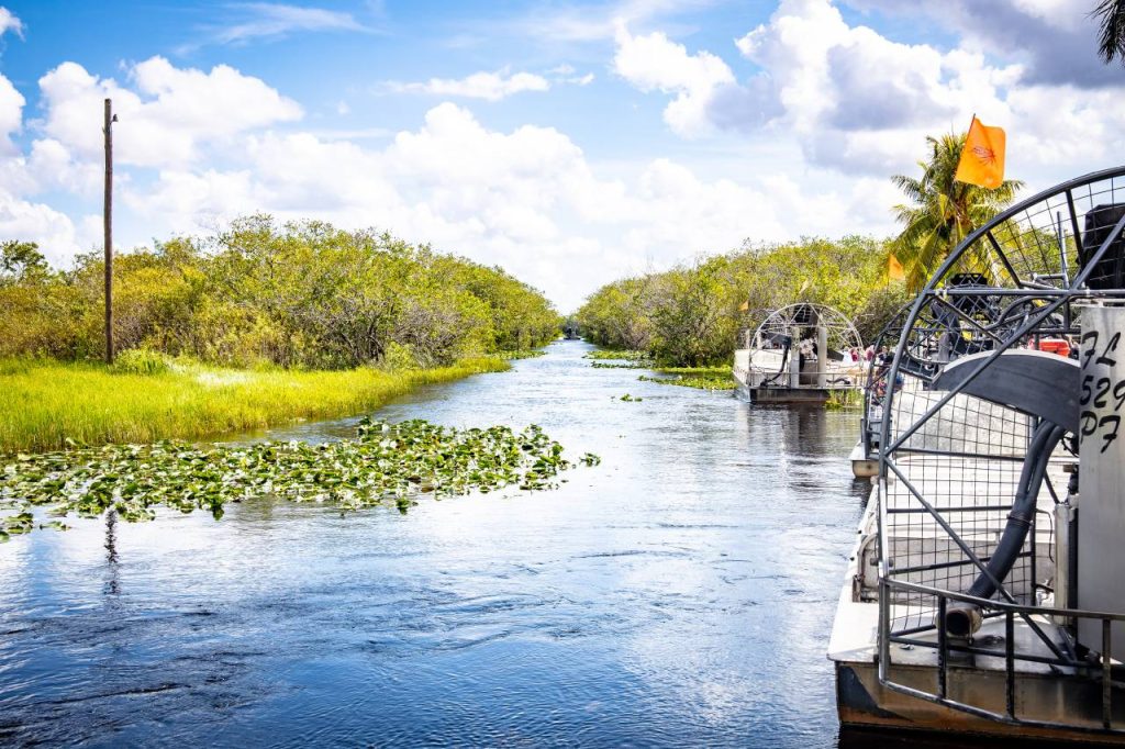 Les Everglades en Floride : que faire, voir et conseils pratiques pour un voyage réussi Les Everglades en Floride : que faire, voir et conseils pratiques pour un voyage réussi