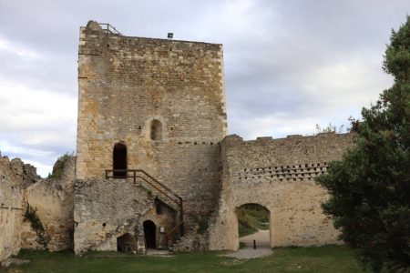 Rochefort-en-Valdaine : le village médiéval qui cache un château-fort d’exception en Drôme Provençale Rochefort-en-Valdaine : le village médiéval qui cache un château-fort d'exception en Drôme Provençale