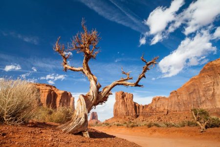Parc national de la Vallée de la Mort : tout ce qu’il faut savoir avant de partir Parc national de la Vallée de la Mort : tout ce qu'il faut savoir avant de partir