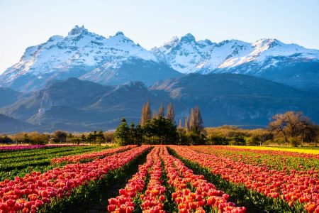 Organiser son voyage en Argentine : tout ce qu'il faut savoir avant de partir